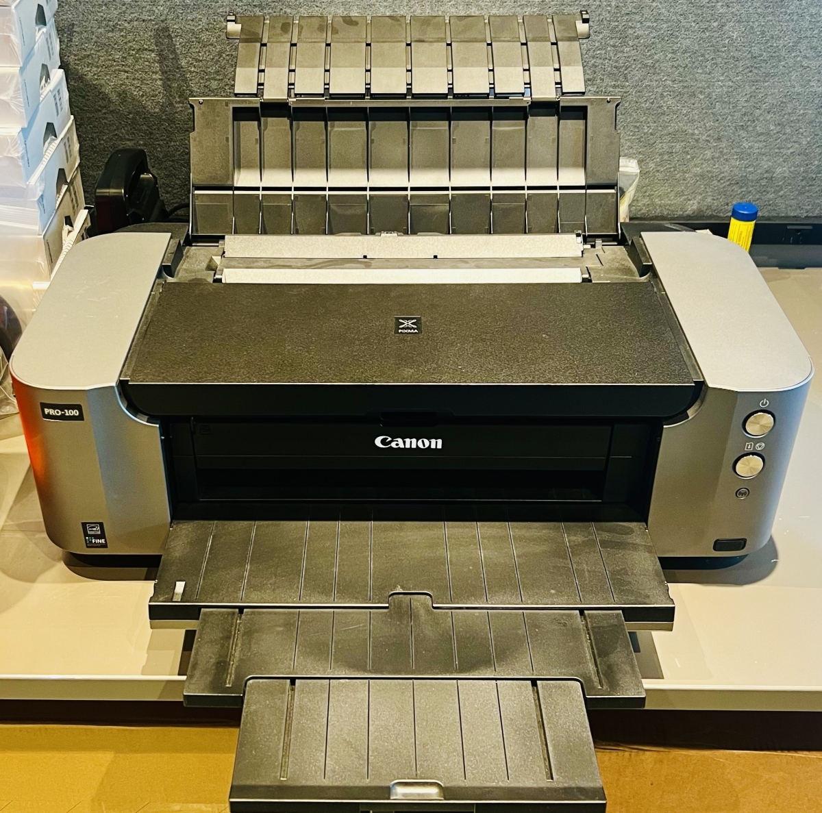 Canon Pixma Pro Printing station