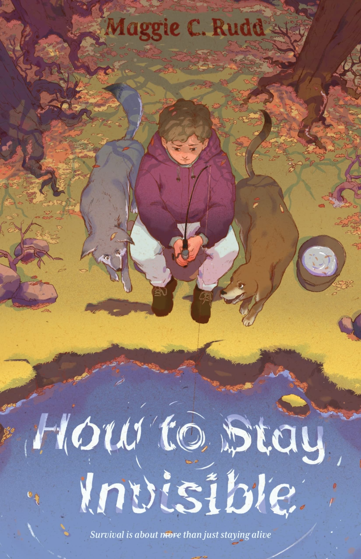 How to Stay Invisible book cover