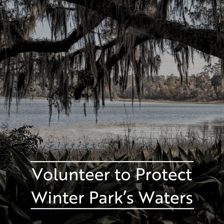 A lake and the text "Volunteer to Protect Winter Park's Waters".